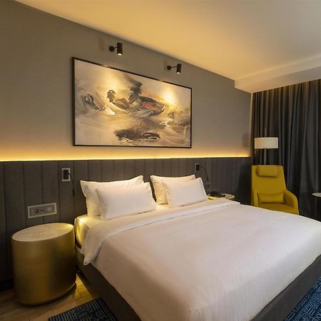 Radisson Blu Hotel & Conference Center, นีอาเมย์ ภายนอก รูปภาพ